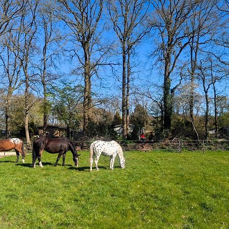Hotel Chique Chalet Met Zicht Over De Weilanden Op De Veluwe Epe Zewnętrze zdjęcie