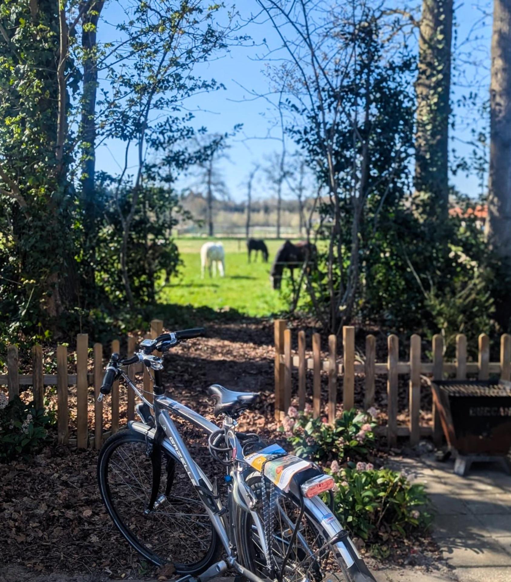 Hotel Chique Chalet Met Zicht Over De Weilanden Op De Veluwe Epe Zewnętrze zdjęcie